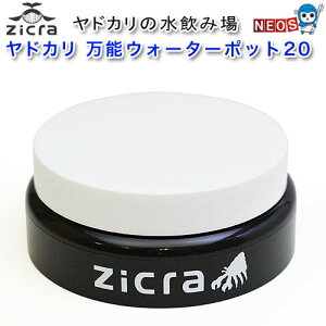 WN@AMg@hJ@\EH[^[|bg20y/Mы/Ϗ܋/zýzyʔ/̔zyANAE/肤ށzy^z