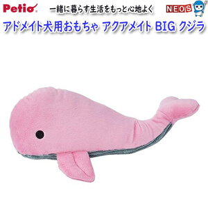 yeBI@AhCg@ANACg@BIG@NW