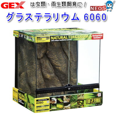 GEX グラステラリウム6060 PT2612の商品写真