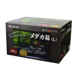 J~n^@_J@L@y/Mы/Ϗ܋/zýzyʔ/̔zyANAE/肤ށzy^z