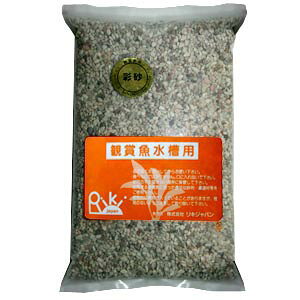 LWp@ʍ@2kg@y/Mы/Ϗ܋/zýzyʔ/̔zyANAE/肤ށzy^z