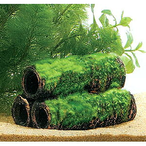 GEX@Șa̒@yM@y/Mы/Ϗ܋/zýzyʔ/̔zyANAE/肤ށzy^z