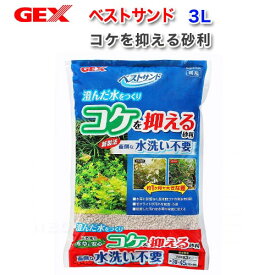楽天市場 Gex ベストサンドの通販