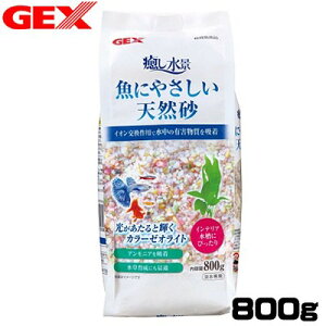 GEX@i@ɂ₳VR@800gy/Mы/Ϗ܋/zýzyʔ/̔zyANAE/肤ށzy^z