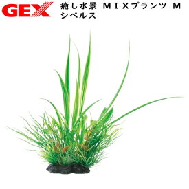 GEX　癒し水景 MIXプランツ M シペルス【水槽/熱帯魚/観賞魚/飼育】【生体】【通販/販売】【アクアリウム/あくありうむ】【小型】