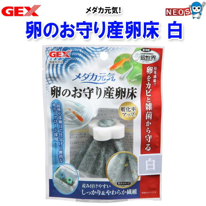 楽天市場 Gex メダカ元気 卵のお守り産卵床 白 水槽 熱帯魚 観賞魚 飼育 生体 通販 販売 アクアリウム あくありうむ 小型 ネオス 楽天市場店