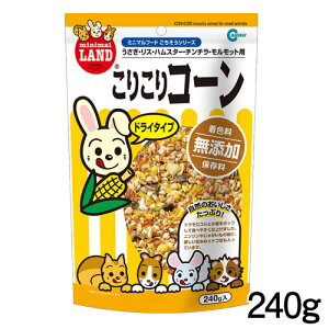 }J@肱R[@240g@ML-833y/a//GTzynX^[//X/bgzyz