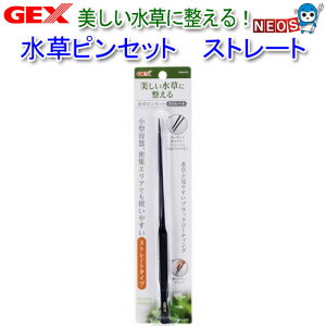 GEX@sZbg@Xg[g@y/Mы/Ϗ܋/zýzyʔ/̔zyANAE/肤ށz