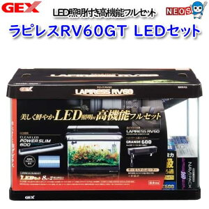 GEX　ラピレスRV60GT　LEDセット