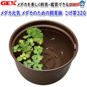 GEX@_JC@_Ĵ߂̎甫@320