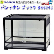 楽天市場】パンテオン6045 ブラックの通販