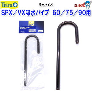 eg@SPX^VXzpCv@60^75^90p