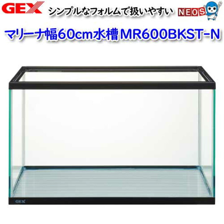 楽天市場】GEX マリーナ幅60cm水槽 MR600BKST-N【水槽/熱帯魚/観賞魚 