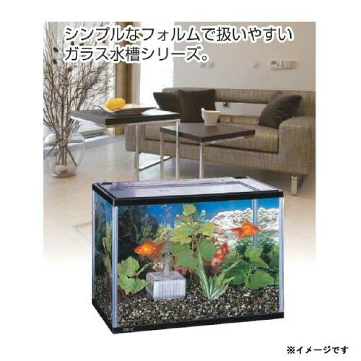 楽天市場 Gex マリーナ幅60cm水槽 Mr600bkst N 水槽 熱帯魚 観賞魚 飼育 セット水槽 オブジェ 生体 通販 販売 アクアリウム あくありうむ ネオス 楽天市場店 楽天市場 Gex マリーナ幅60cm水槽 Mr600bkst N 水槽 熱帯魚 観賞魚 飼育 セット水槽 オブジェ 生体 通販 販売 アクアリウム あくありうむ ネオス 楽天市場店