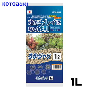 コトブキ ろかジャリ 1L 【水槽/熱帯魚/観賞魚/飼育】【生体】【通販/販売】【アクアリウム/あくありうむ】【小型】