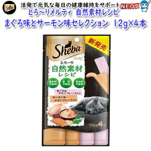 }[XWp@V[o@Ƃ`胁eBRfރVs@܂떡ƃT[ZNV@t[N@12g×4{