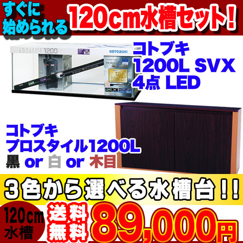 楽天市場】1２０cm水槽 1200L SVX4点 LED 水槽セット ＋選べる水槽台