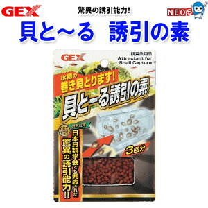 GEX@LƁ[@Ȗf@3