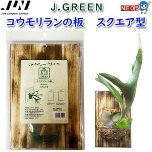 JUN@RE̔@XNGA^@y񏤕izya//Mы/Ϗ܋zyʔ/̔zyANAE/肤/eE/RPE/p_Ez