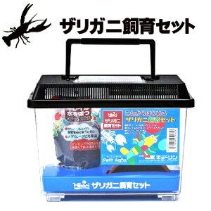 水槽 キョーリン 飼育セット 熱帯魚 アクアリウム用品の人気商品 通販 価格比較 価格 Com