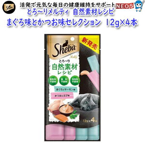 }[XWp@V[o@Ƃ`胁eBRfރVs@܂떡ƂZNV@t[N@12g×4{