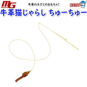 �}���J���@���v�L����炵�@����[����[