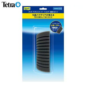 eg@X|WtB^[ ugX[p[pփX|W@y/Mы/Ϗ܋/zýzyʔ/̔zyANAE/肤ށzy^z