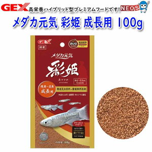 GEX _JC ʕP p 100gya  GTzyϏ܋@azy/Mы/Ϗ܋/zýzyʔ/̔zyANAE/肤ށz