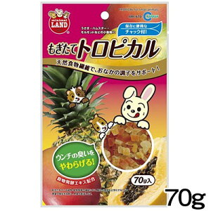 }J@ăgsJ@70g@MR-670y/a//GTzynX^[//X/bg/zyz