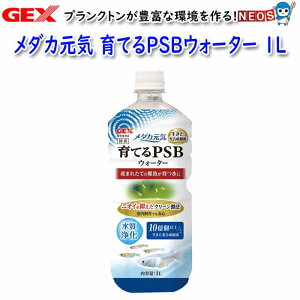 GEX _JC ĂPSBEH[^[ 1Ly/Mы/Ϗ܋/zýzyʔ/̔zyANAE/肤ށz