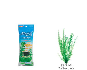 GEX@_Ji VRYy/Mы/Ϗ܋/zýzyʔ/̔zyANAE/肤ށzy^z