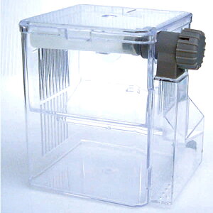 jb\[@YDX(S)y/Mы/Ϗ܋/zýzyʔ/̔zyANAE/肤ށzy^z