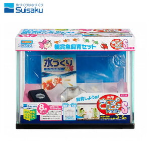 @񂬂t@~[@S@KF-10yZbgzyZbgzy/Mы/Ϗ܋//Zbg/IuWFzýzyʔ/̔zyANAE/肤ށzy^z