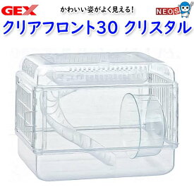 GEX　クリアフロント30 クリスタル