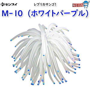 [XC@vJTS@M-10@(zCgp[v)
