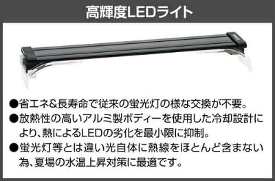 コトブキプログレ450_5点LED