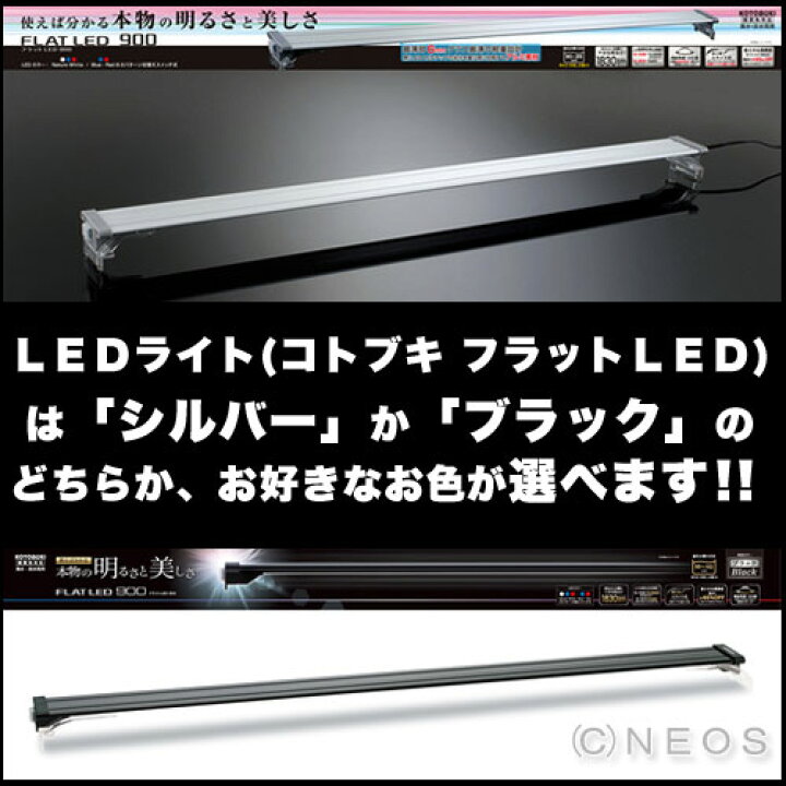 楽天市場】【水槽セット】コトブキ 90cm水槽 レグラスフラットF-900L 