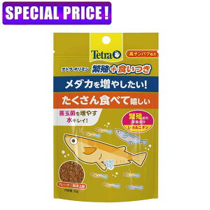 テトラ キリミン繁殖+食いつき20g