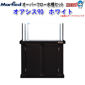 大型 水槽セットの人気商品 通販 価格比較 価格 Com