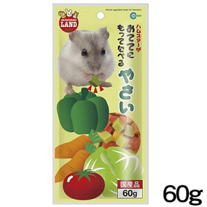 }J@ĂĂɂĂׂ₳@60g@MR-773y/a//GTzynX^[//X/bg/zyz