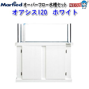 大型 水槽セットの人気商品 通販 価格比較 価格 Com