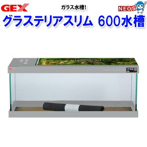 GEX@OXeA@X600@y/Mы/Ϗ܋/zýzyʔ/̔zyANAE/肤ށzy^z