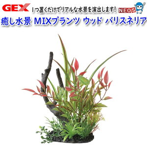 GEX i MIXvc Ebh hEBWA