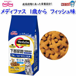 ybgC@fBt@X@1΂@tBbV@3kg(500g×6)