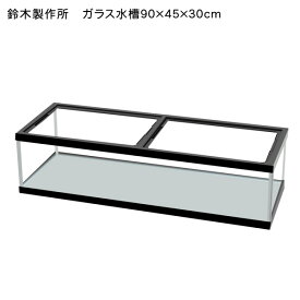 楽天市場 水槽セット 90cm 熱帯魚 アクアリウム ペット ペットグッズ の通販