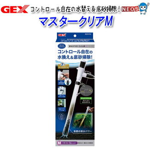 GEX@}X^[NAM