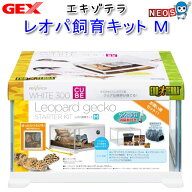 GEX EXO TERRA（エキゾテラ）　EXOTERRA　レオパ飼育キットM　【餌 えさ エサ】【観賞魚　餌やり】【水槽…