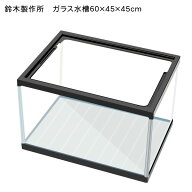 【鈴木製作所】ガラス水槽　60cm水槽　600×450×450mm【お取り寄せ品】【水槽セット/飼育セット/水槽/熱…