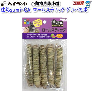 nCybg@Zsumi-CA@[XeBbN@O@o̖؁@5{