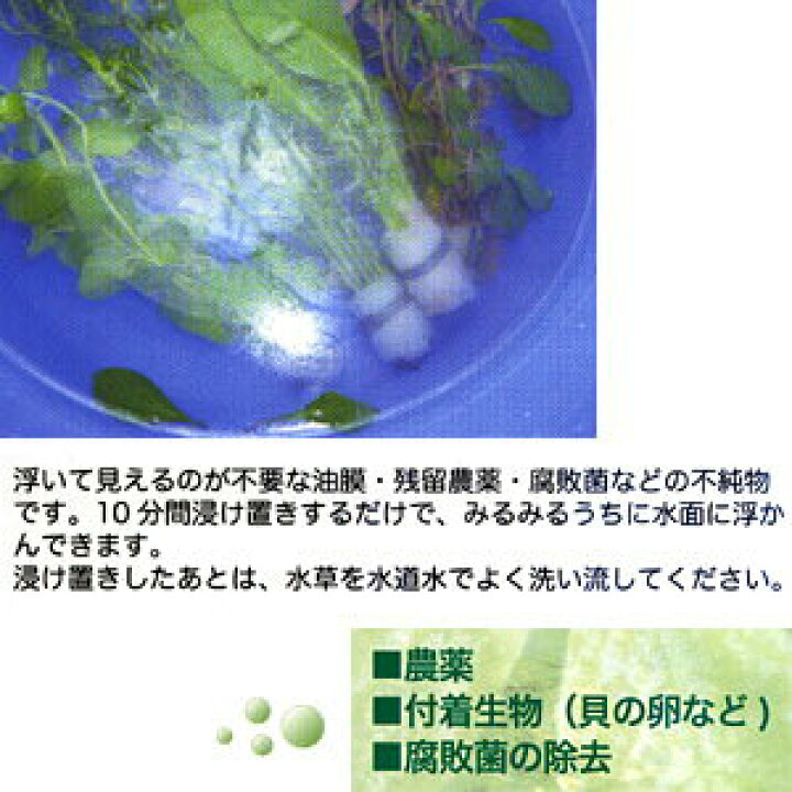 楽天市場 ａｉネット 水草その前に 農薬 付着生物を安全に除去 水槽 熱帯魚 観賞魚 飼育 生体 通販 販売 アクアリウム あくありうむ 小型 ネオス 楽天市場店
